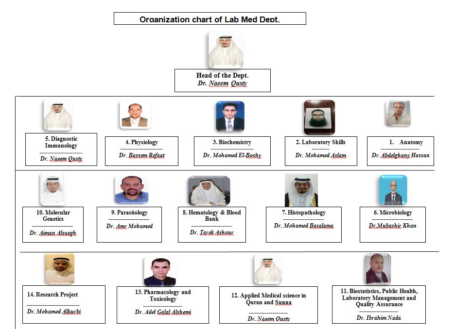 Medical Laboratory Organizational Chart Labb by AG